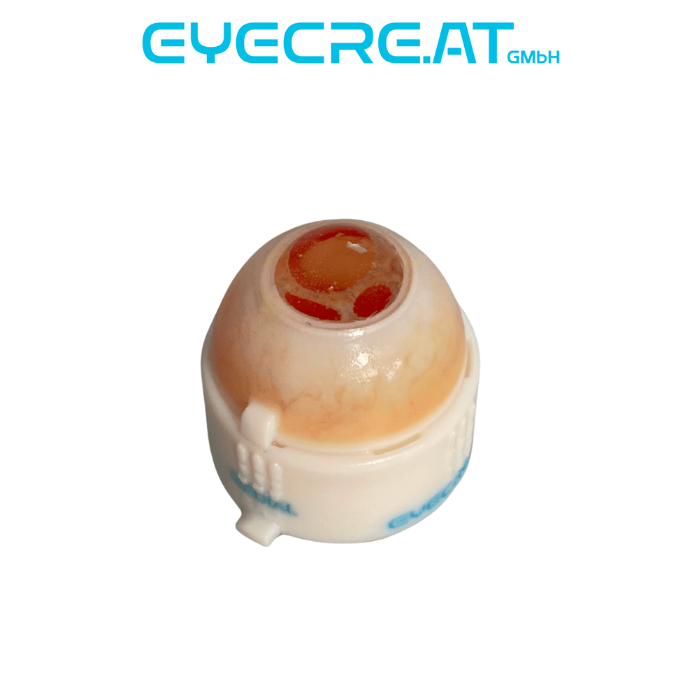 Eye 4 Iris — Iris Surgery Training Eye Range | eyecre.at — eyecre